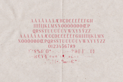 Elara Elegant Modern Serif Font Product Image 5