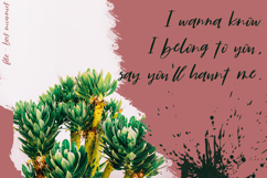 Fete Script Product Image 5