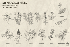 Medicinal herbs Svg Png Eps Product Image 5