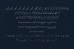 Polymath Signature Script Font Product Image 5