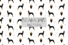 Manchester Terrier Standard clipart Product Image 6