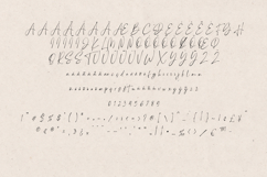 Madeira Elegant Signature Script Font Product Image 5