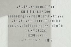EXQUISITE Elegant Serif Font Product Image 5