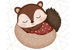 Camping Animals PNG, Forest Critters Campfire Clipart Product Image 5