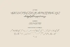 Rhyne Contemporary Signature Script Font Product Image 5