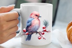 Christmas Birds Clipart , Christmas Birds Clipart Product Image 5