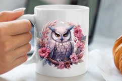 Christmas Owl Clipart, Christmas Owl Clipart, Christmas Owl Product Image 5