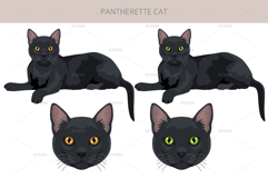Pantherette cat clipart Product Image 2