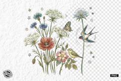 1920 Botanical Summer Wildflowers Clipart Product Image 1