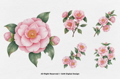 15 Bundle Watercolor Camelia Flower Pink Botanical Japanese Product Image 5