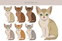 Singapura cat Product Image 4