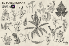 Forest Botany Procreate stamp brushes Product Image 5