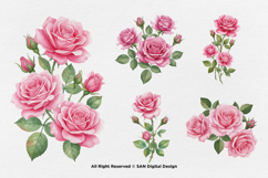 15 Bundle Watercolor Pink Rose Love Romantic Couple Feminine Product Image 5