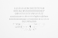 Stolen Love Elegant Modern Serif Font Product Image 5