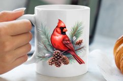 Christmas Cardinal Watercolor Clipart, Christmas Cardinal Product Image 5