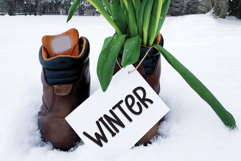 Kids Playing Product Image 5