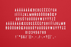 Harrison Organic Bold Display Font Product Image 5