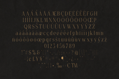 Gorga Luxury Serif Font Product Image 5