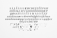 VSOP Cursive Elegant Serif Typeface Product Image 5