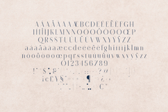 Retro Dream Elegant Modern Serif Font Product Image 5