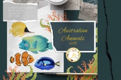 Australian Animals Clip Art Vol 4 Product Image 6