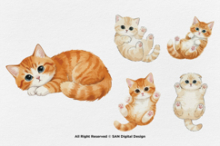15 Bundle Watercolor Baby Cats Kitten Fluffy Pet Fat Funny Product Image 5