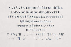 Sonder Elegant Serif Modern Editorial Typeface Product Image 5