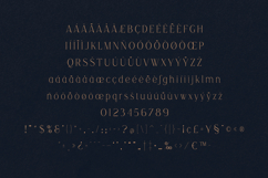 Ruminate Elegant Display Serif Font Product Image 5