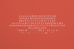 Kavo Elegant Modern Serif Font Product Image 5