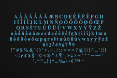 Oldink Organic Serif Font Product Image 5