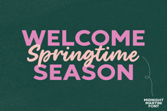 FRESH LOOK Bold Title Display Font Product Image 4