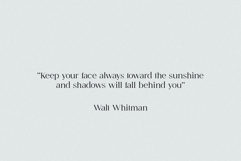 Juliette Family Serif 12 Fonts Product Image 5