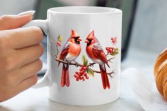 Christmas Cardinal Watercolor Clipart, Christmas Cardinal Product Image 5