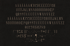 French Elegant Modern Serif Font Product Image 5