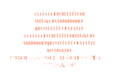 Perfectly Splendid Elegant Serif Font Product Image 5