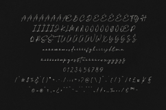 Eclipse Script Elegant Signature Handwritten Font Product Image 5