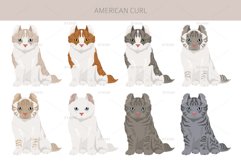 American Curl Cat clipart Product Image 4