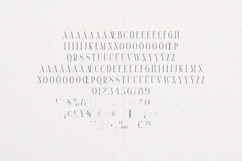 Thorn Tale Elegant Modern Serif Product Image 5