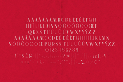 Future Flow Two Lines Serif Font Product Image 5