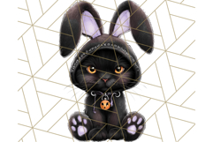 Halloween Bunny Clipart, Cute Bunnies in Costumes PNG Product Image 5