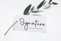 Smoothie Product Image 5