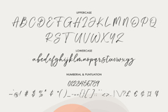 Fountain Script Product Image 6