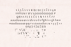 Black Goose Modern Editorial Serif Font Product Image 5