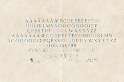 Esque Soft Elegant Serif Font Product Image 5