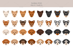 Shiba Poo Shiba Inu Poodle mix Product Image 4