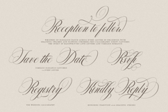 Delighton Script Product Image 5