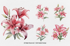15 Bundle Watercolor Red Lily Flower Botanical Aesthetic Product Image 5