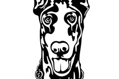 Doberman dog/Dog Svg/Png/Jpg/Ai/Vector purebred breed/Pet Product Image 6