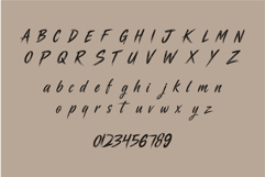 Raize Brush Font Product Image 4