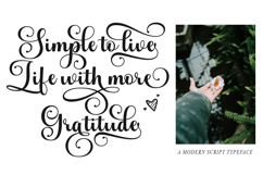 Andelintia - Family Font In 67 Styles Product Image 5